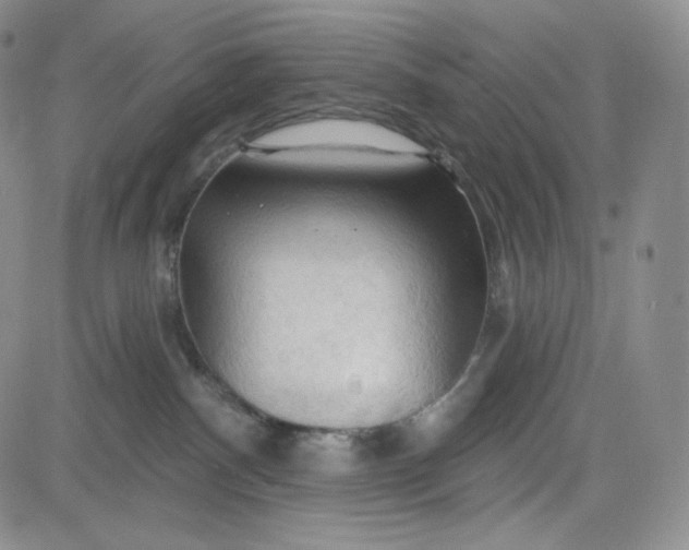 X0000083610140200702260937