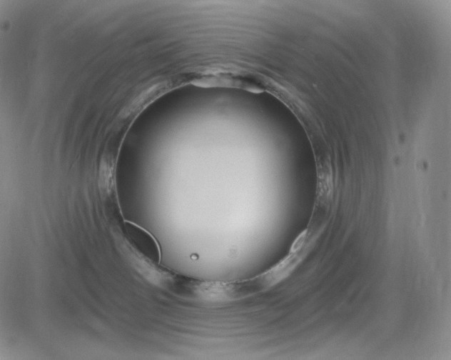 X0000083610142200702260937