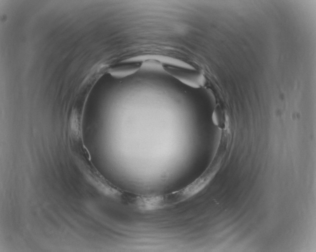 X0000083610143200702260937