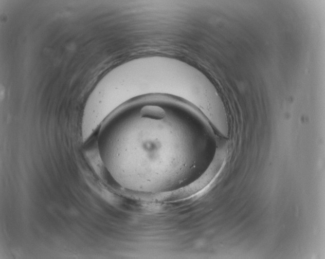 X0000083610144200702260937