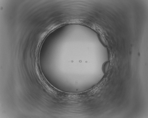 X0000083610145200702260936