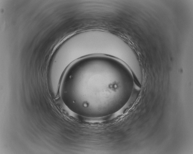 X0000083610146200702260936