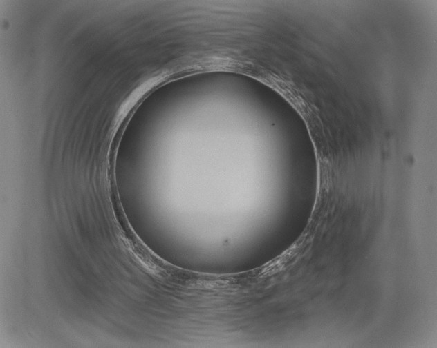 X0000083610147200702260936