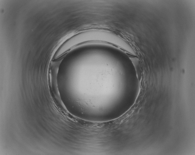 X0000083610148200702260936