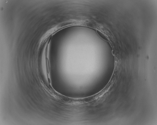 X0000083610149200702260937