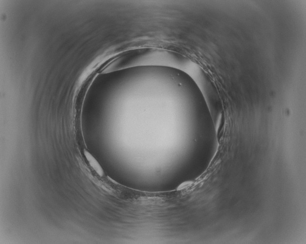 X0000083610150200702260937