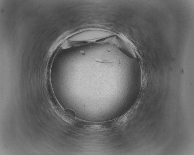 X0000083610151200702260937