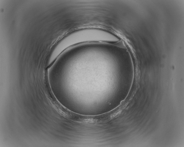 X0000083610153200702260937