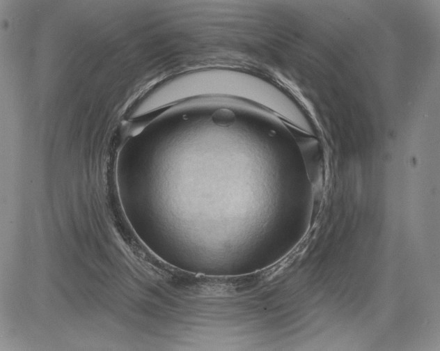 X0000083610154200702260937