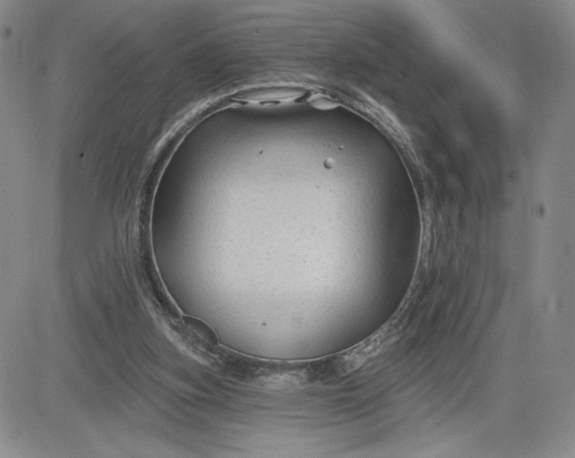 X0000083610155200702260937