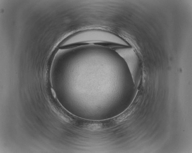 X0000083610156200702260937