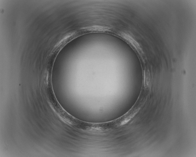 X0000083610157200702260937