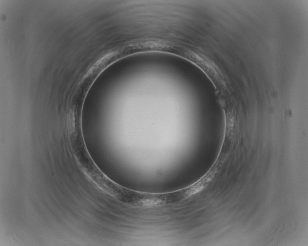 X0000083610158200702260937