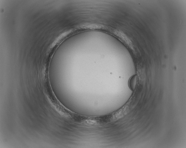 X0000083610159200702260937