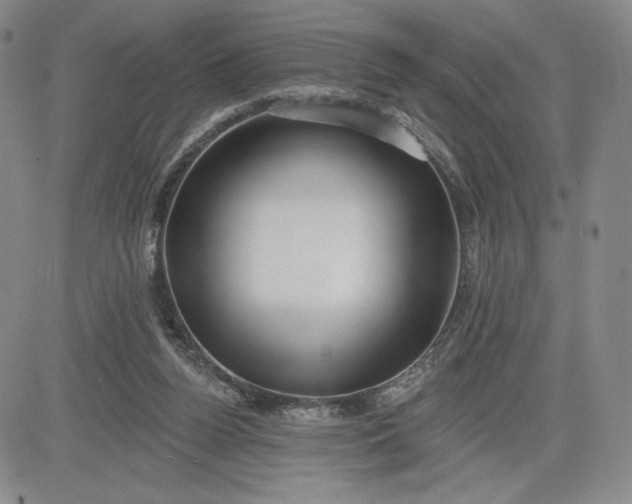 X0000083610160200702260937