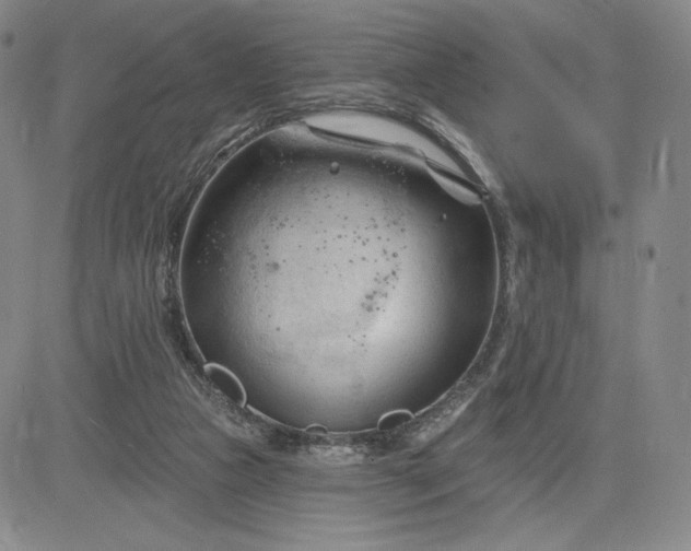 X0000083610161200702260937