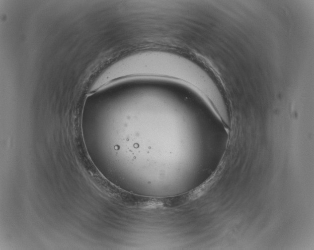 X0000083610162200702260937