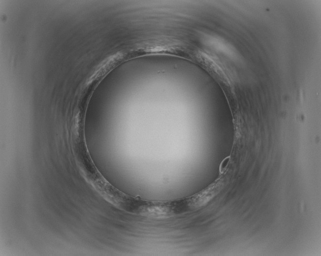 X0000083610163200702260937