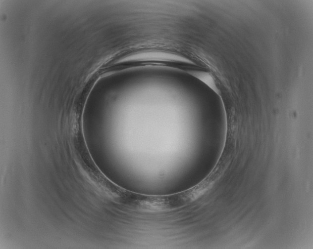 X0000083610164200702260937