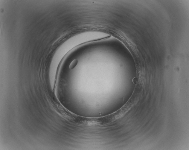 X0000083610165200702260937