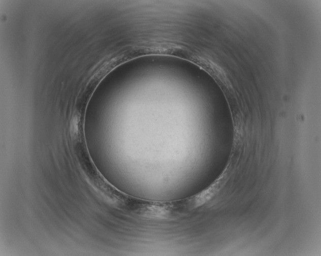 X0000083610166200702260937