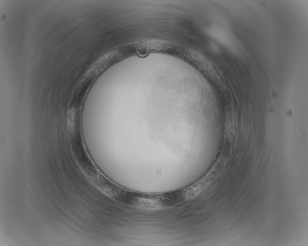 X0000083610167200702260937