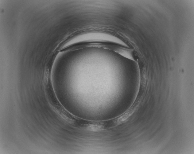 X0000083610168200702260937