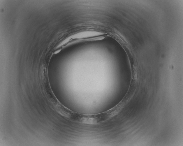 X0000083610169200702260937