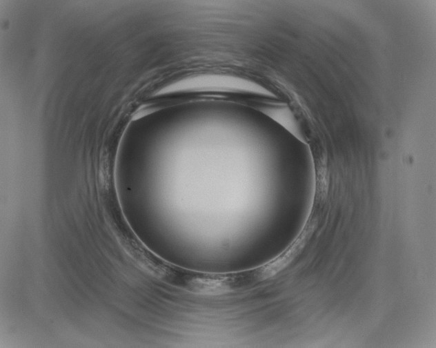 X0000083610170200702260937