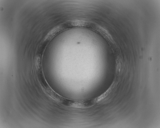 X0000083610171200702260937