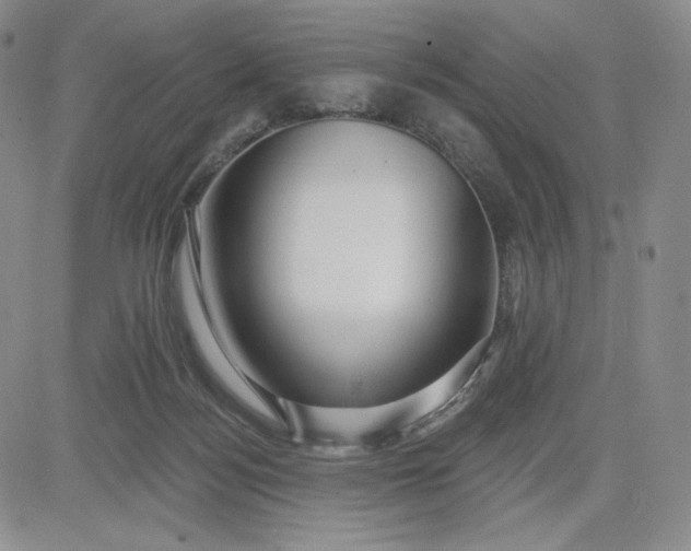 X0000083610172200702260937