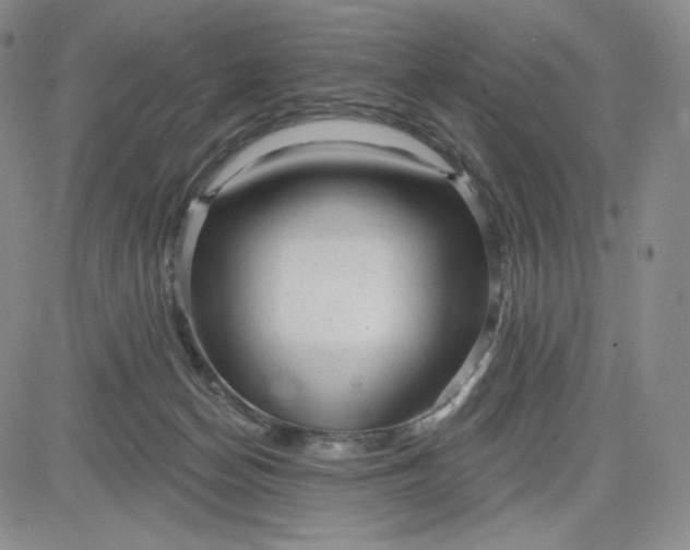 X0000083610174200702260937