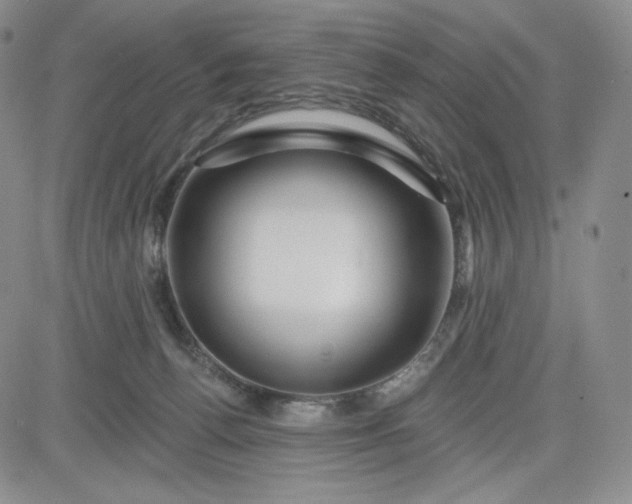 X0000083610176200702260937