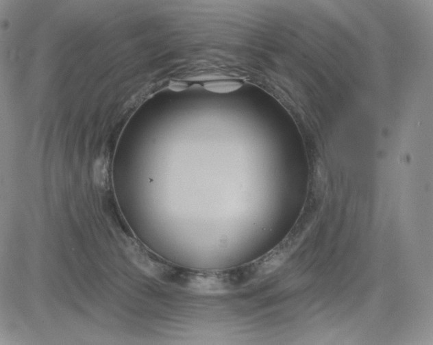 X0000083610177200702260937