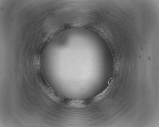 X0000083610179200702260937