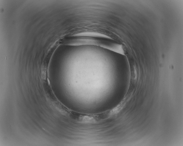 X0000083610180200702260937