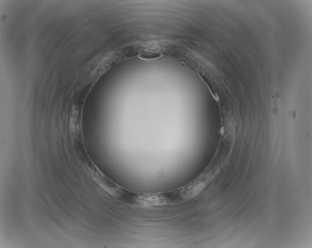 X0000083610181200702260937