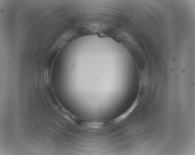 X0000083610182200702260937