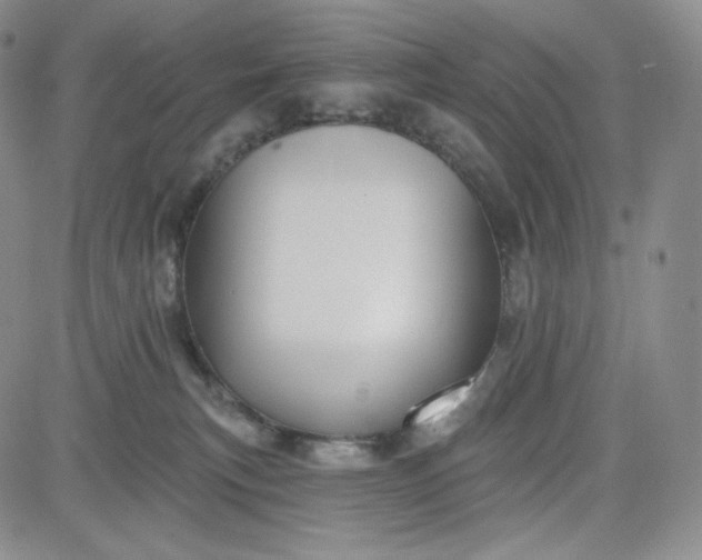 X0000083610183200702260937