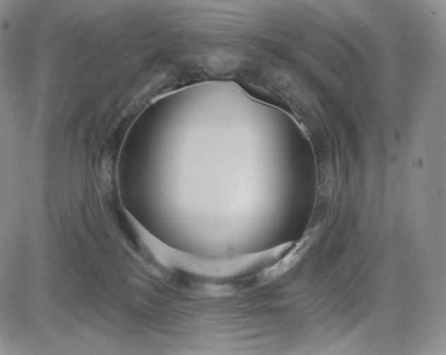 X0000083610184200702260937