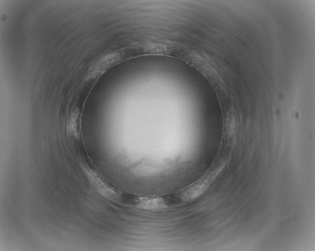 X0000083610185200702260937