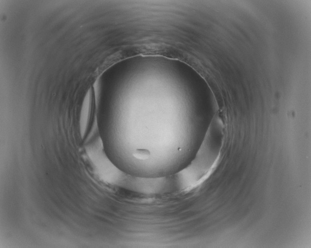 X0000083610186200702260937