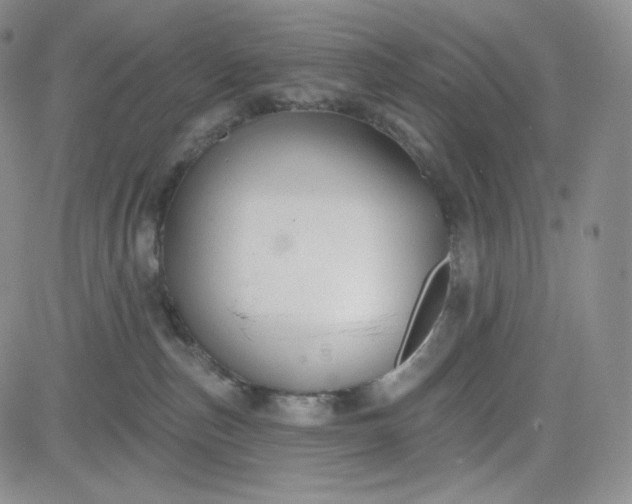 X0000083610187200702260937