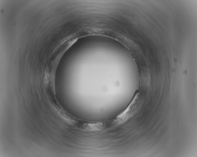 X0000083610188200702260937