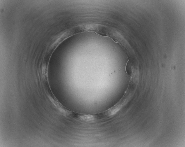 X0000083610189200702260937