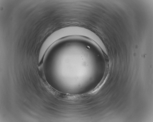 X0000083610190200702260937