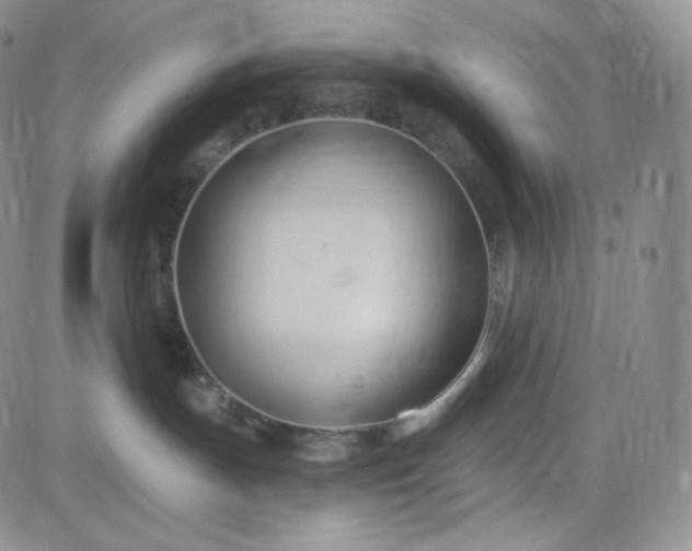 X0000083610191200702260937