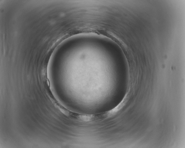 X0000083610192200702260937