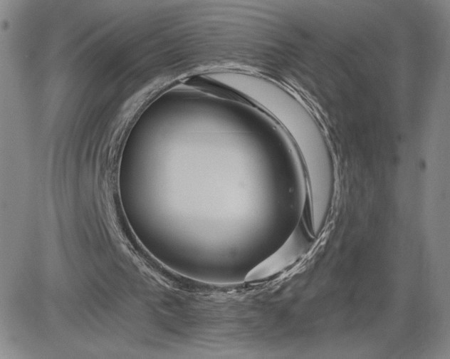 X0000083610193200702260936