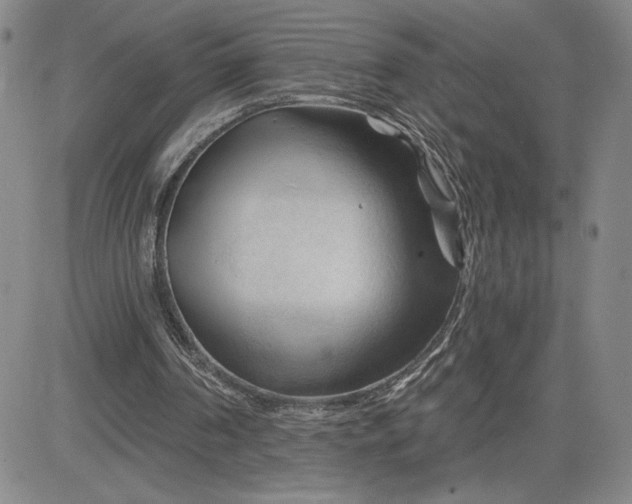 X0000083610194200702260936